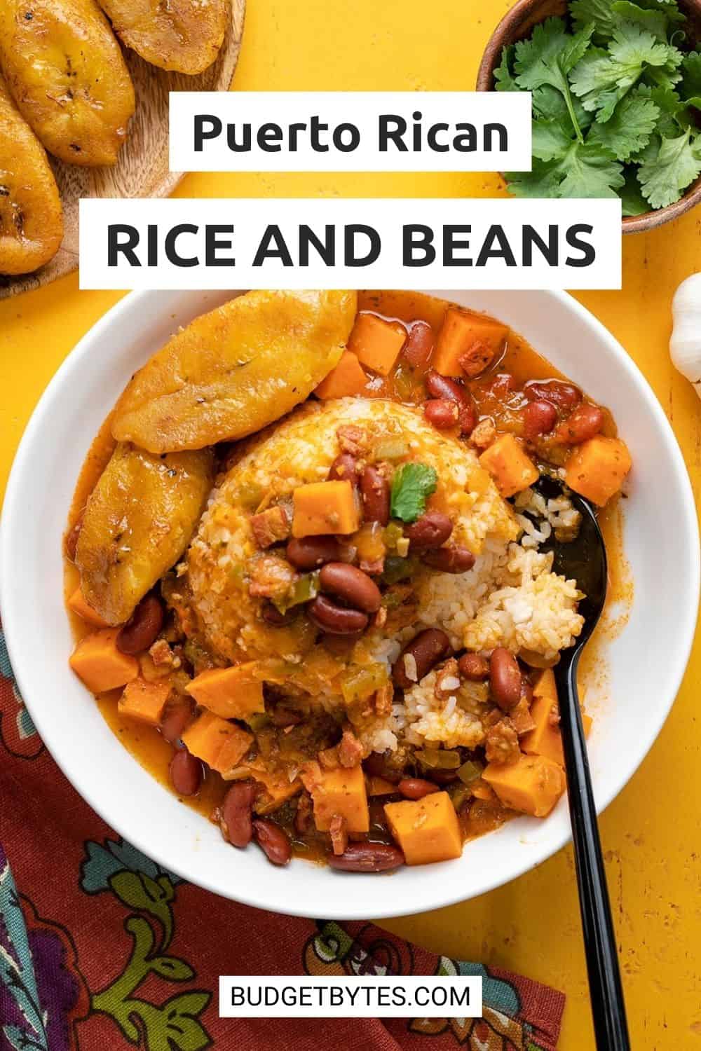 Puerto Rican Rice And Beans Healthy Lifehack Recipes   Puerto Rican Rice And Beans PIN 1 