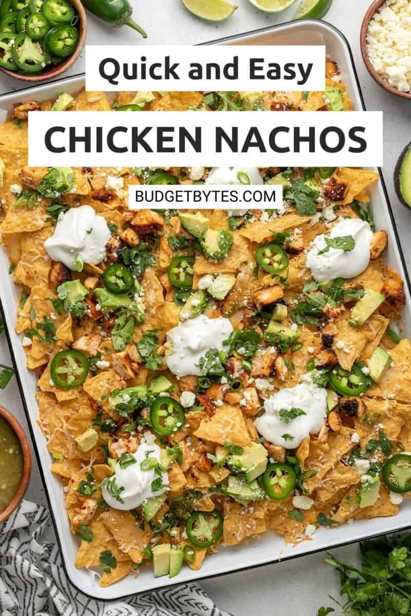 Overhead shot of sheet pan chicken nachos with sliced jalapeño, avocado, and cilantro.