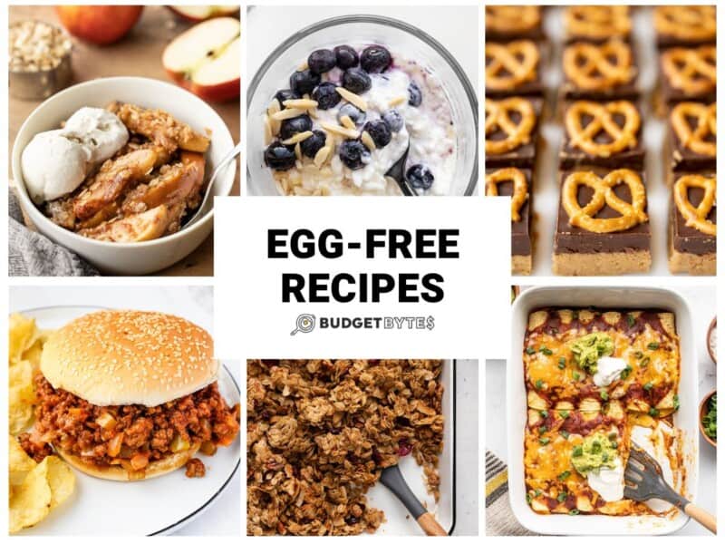 egg-free-recipes-budget-bytes