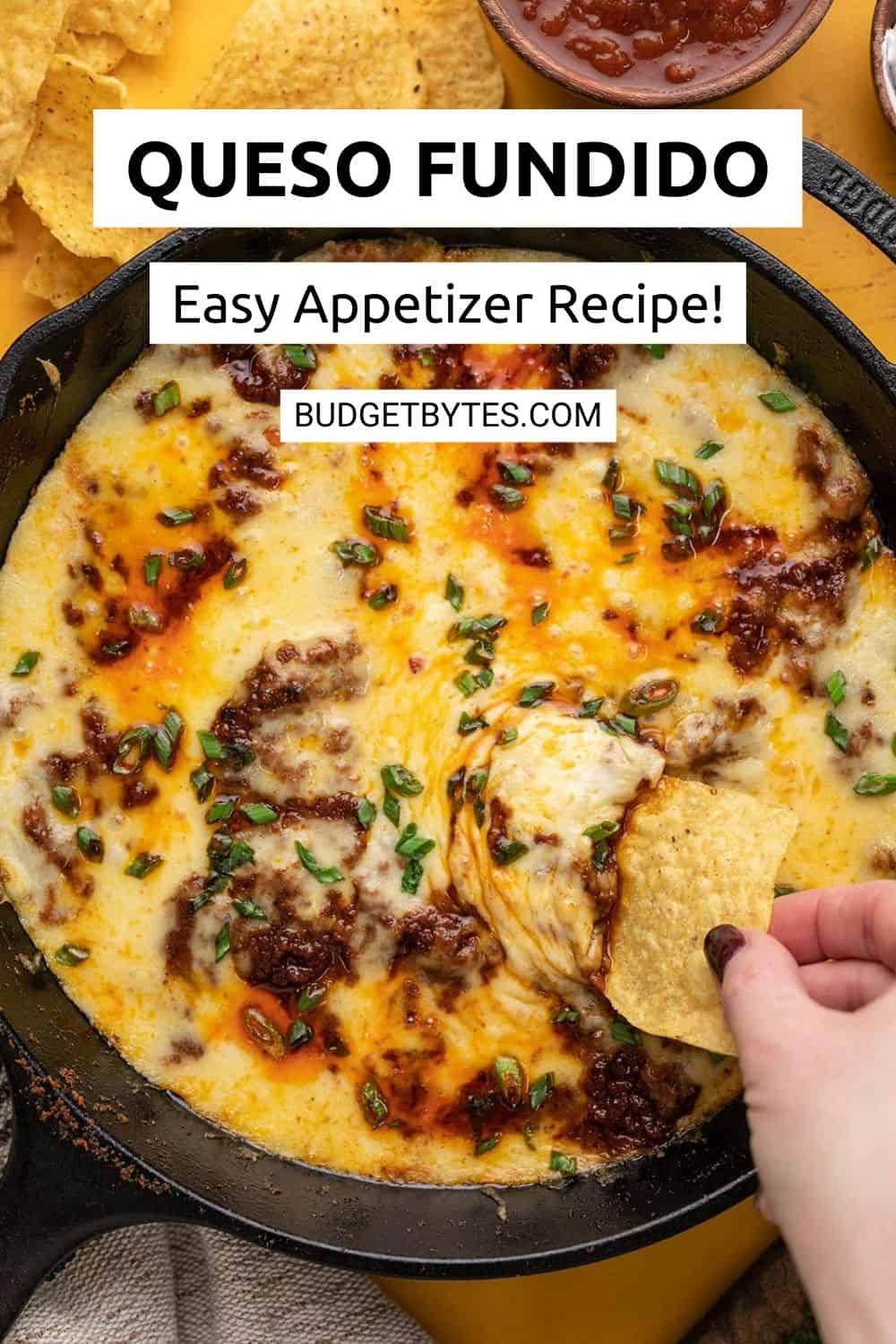 Queso Fundido - Budget Bytes