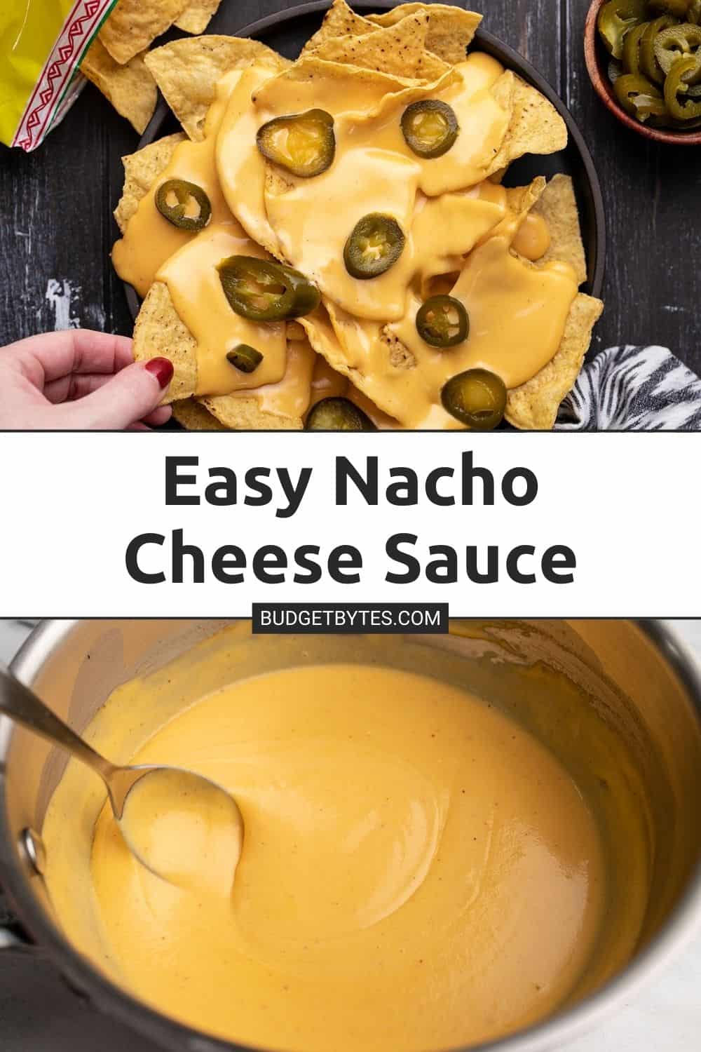 Easy Nacho Cheese - Budget Bytes