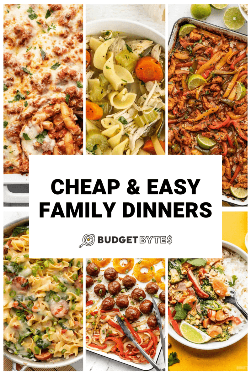 Affordable family meal ideas