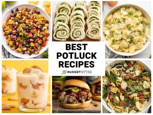 Best Potluck Recipes Budget Bytes 7352