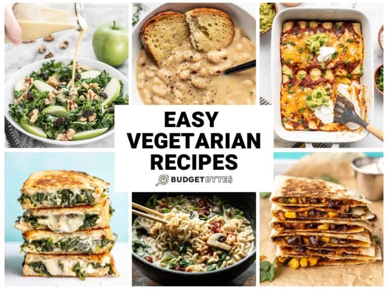 Easy Vegetarian Recipes Budget Bytes 0047