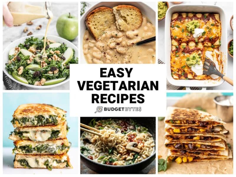 Easy Vegetarian Recipes Budget Bytes   Vegetarian Recipes Round Up Horizontal 800x600 