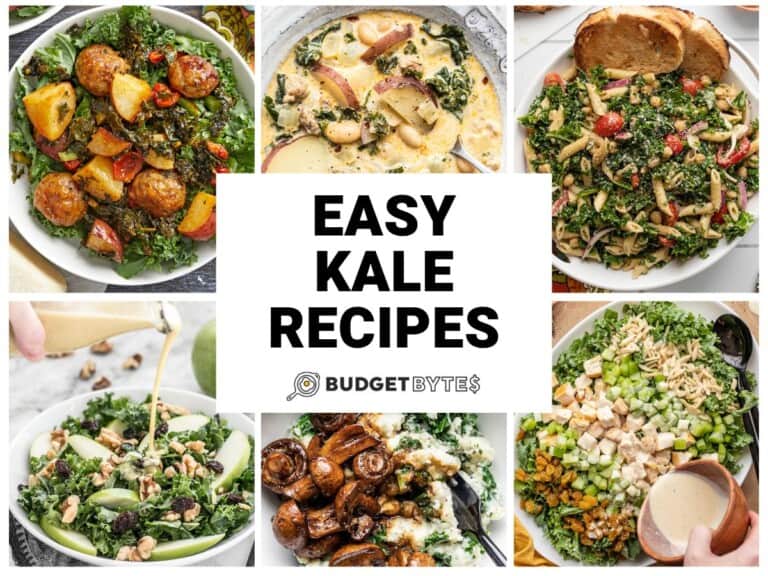 Easy Kale Recipes - Budget Bytes