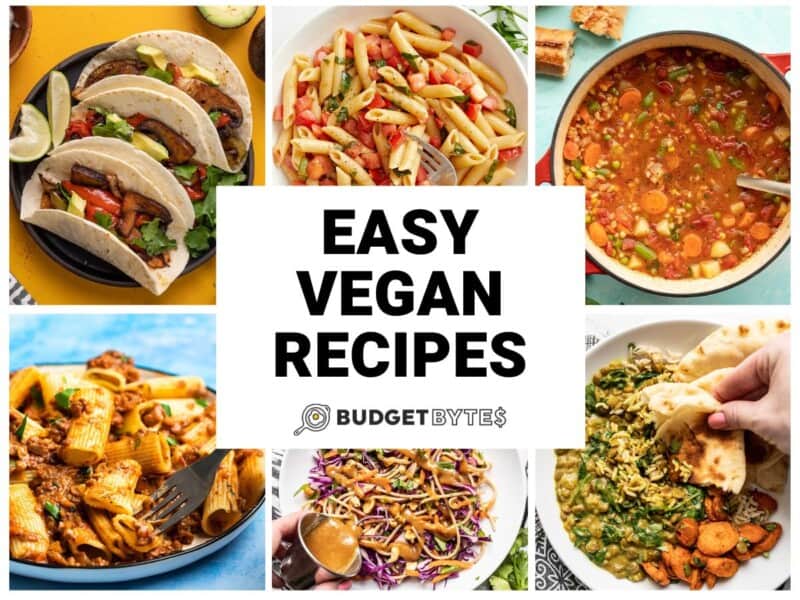 Easy Vegan Recipes Budget Bytes