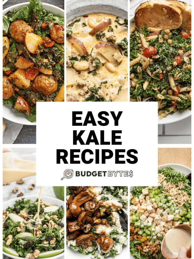 Easy Kale Recipes - Budget Bytes