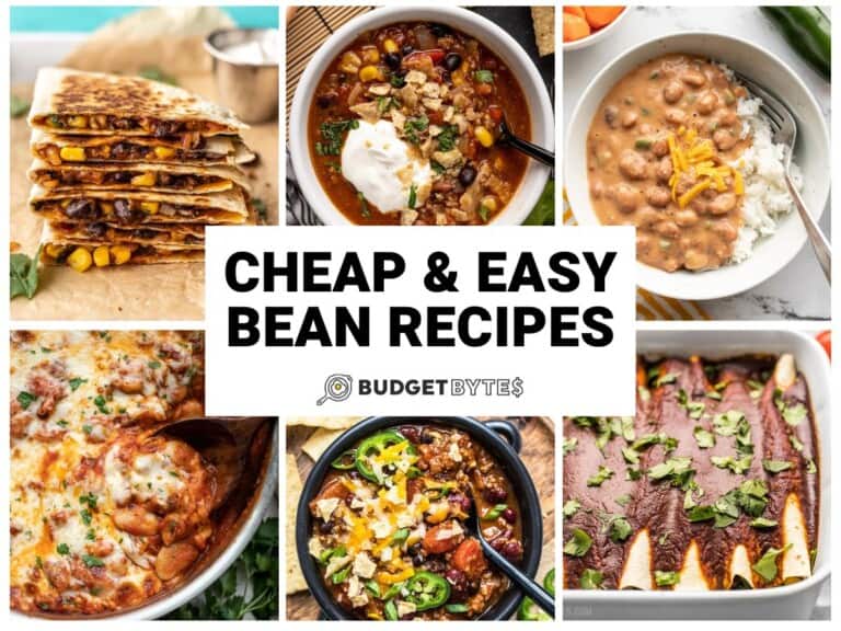 Cheap And Easy Bean Recipes Budget Bytes   Bean Recipes H 768x576 