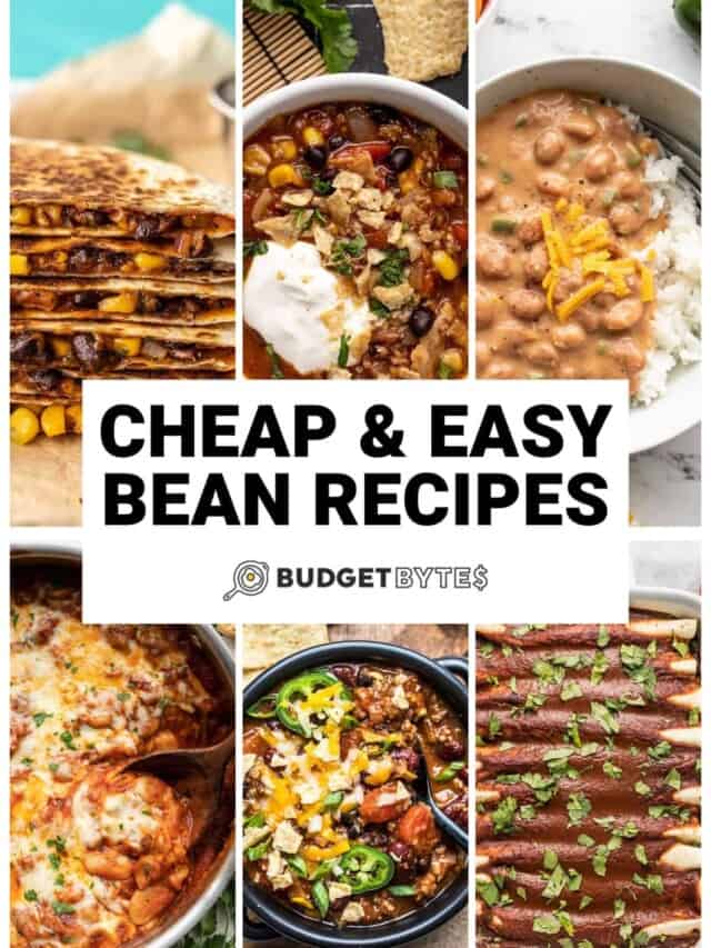 Cheap And Easy Bean Recipes Budget Bytes   Cropped Bean Recipes V 