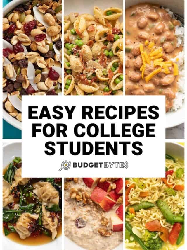 https://www.budgetbytes.com/wp-content/uploads/2023/09/cropped-Recipes-for-College-V.jpg