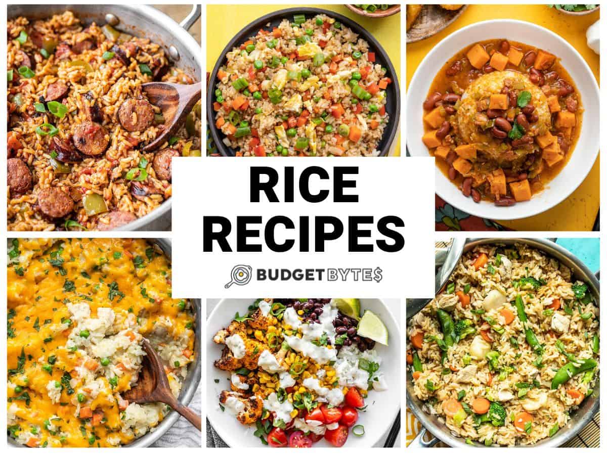 https://www.budgetbytes.com/wp-content/uploads/2023/10/Rice-Recipes-H.jpg
