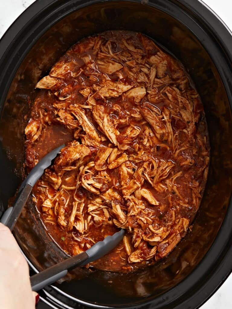 Crock Pot Salsa Chicken - Budget Bytes