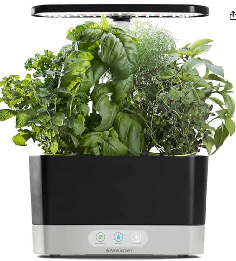 AeroGarden with herbs growing out the top. 