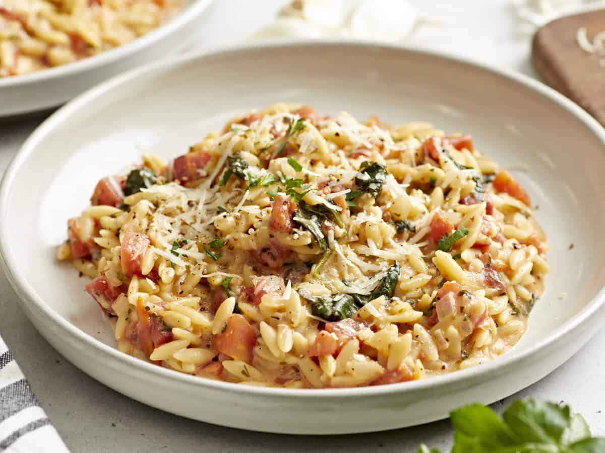 side view of tuscan orzo on a white plate.