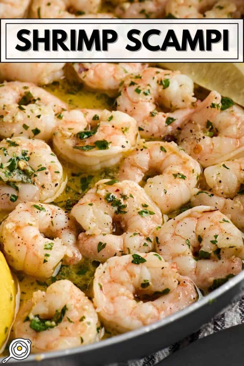 shrimp scampi pin image