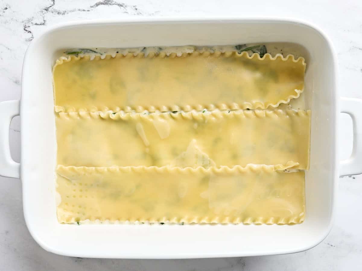 Lasagna sheets layered in a baking dish.