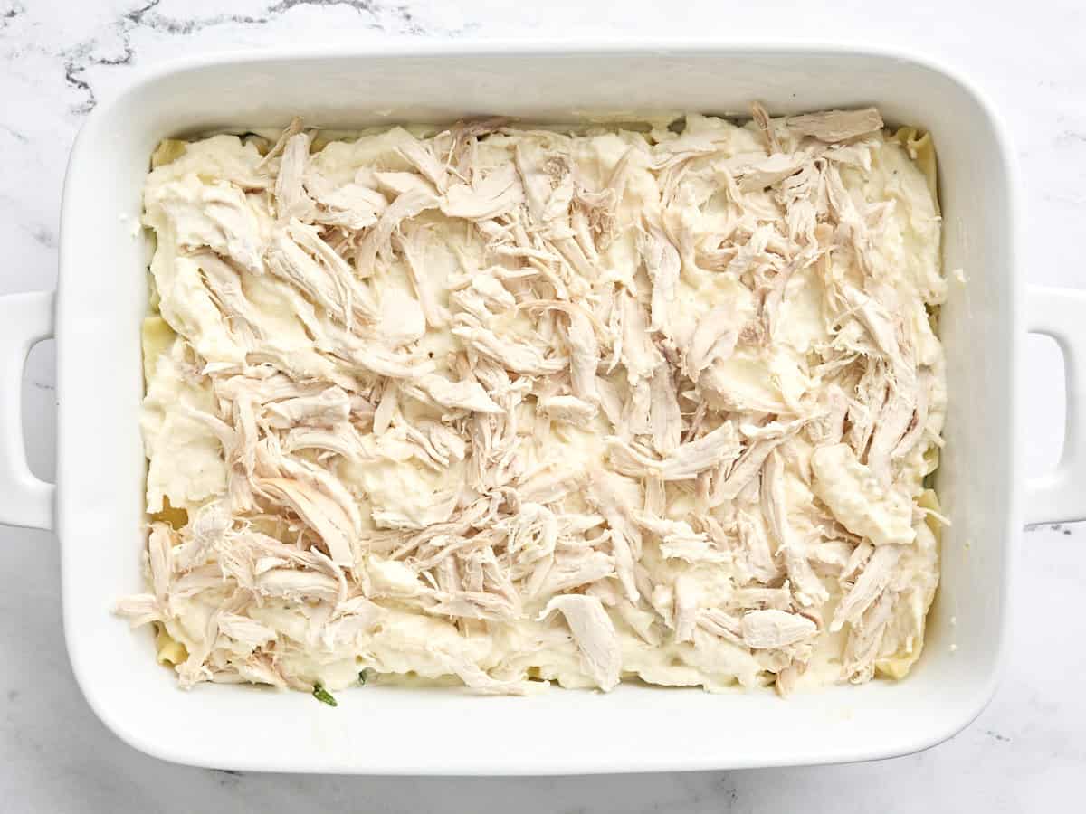 A layer of shredded chicken added on top of lasagna sheets in a baking dish.