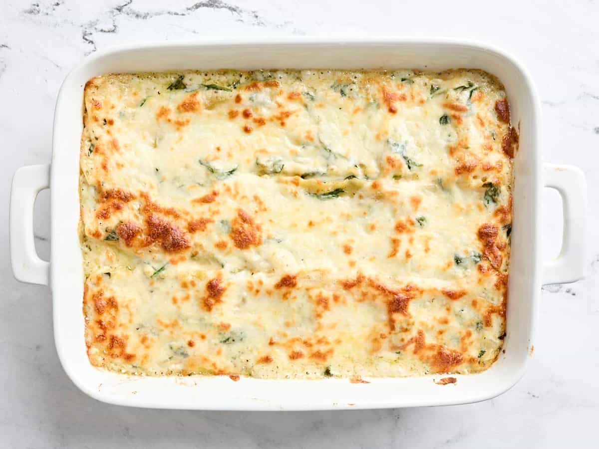 Overhead view of white chicken lasagna in a baking dish.