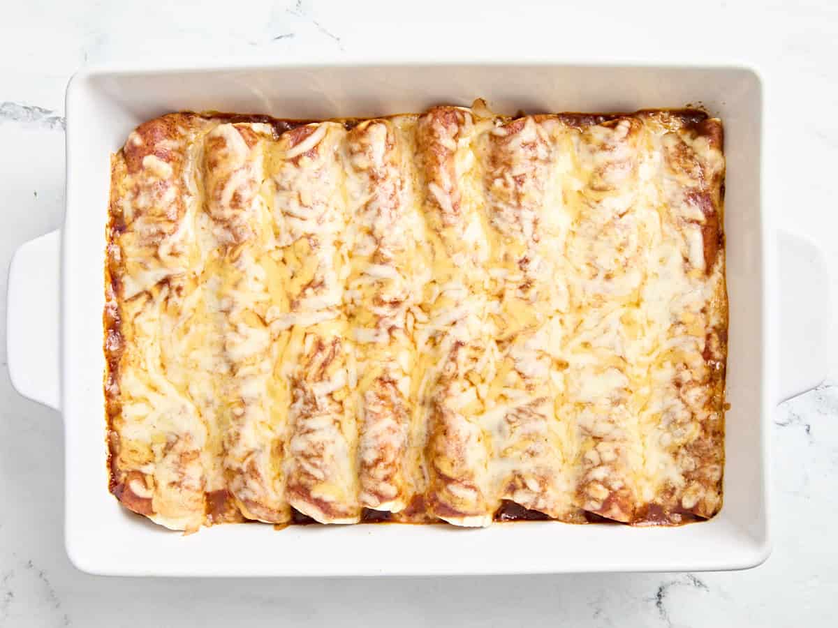 Freshly baked chicken enchiladas in a baking dish.