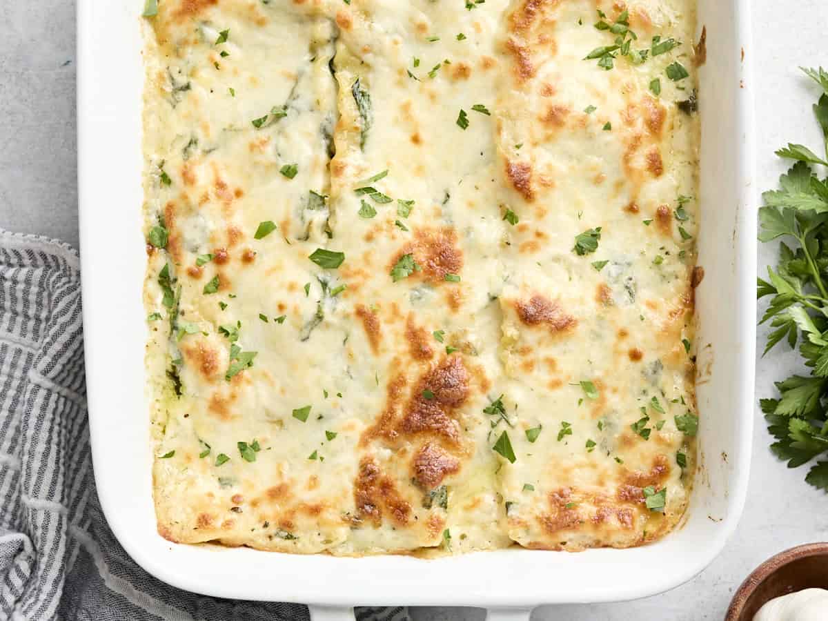 Overhead view of white chicken lasagna.