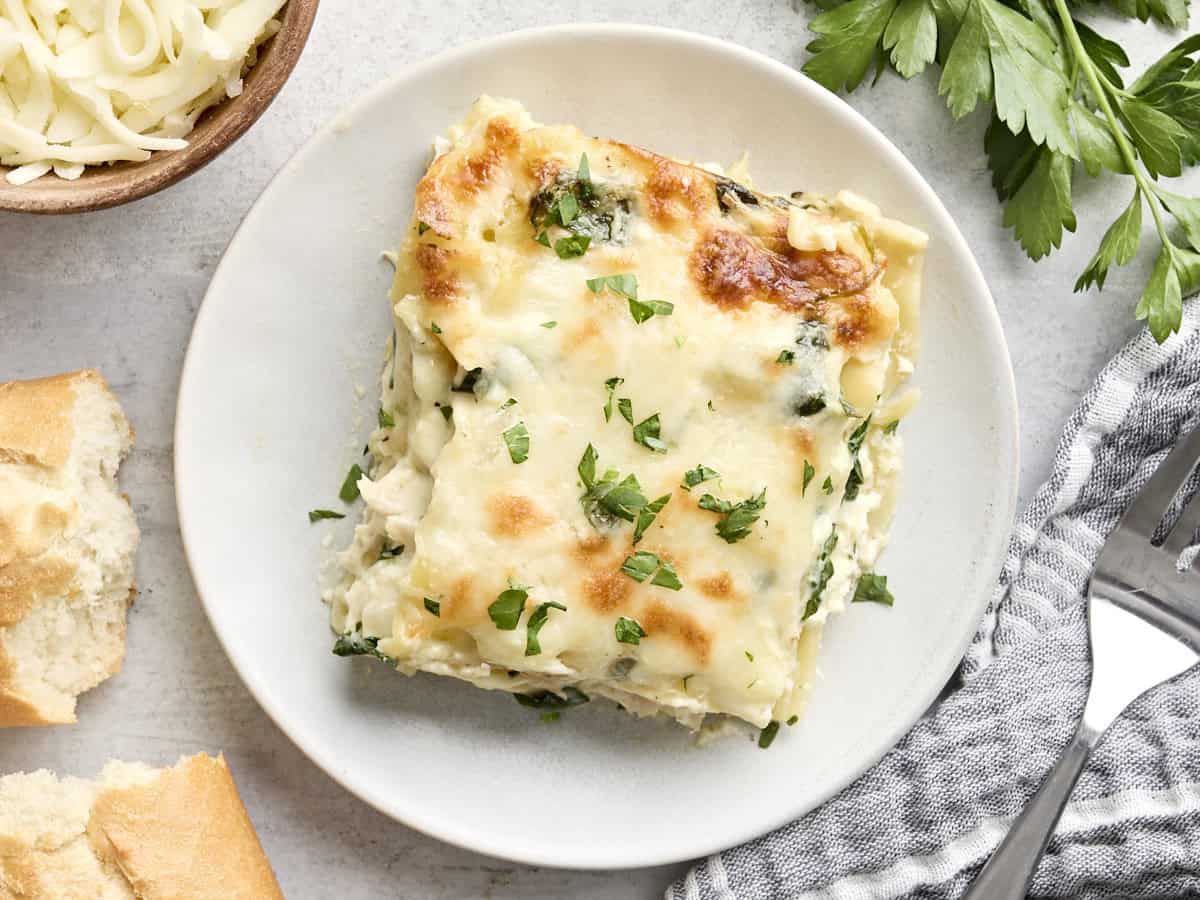 Overhead view of white chicken lasagna on a plate.